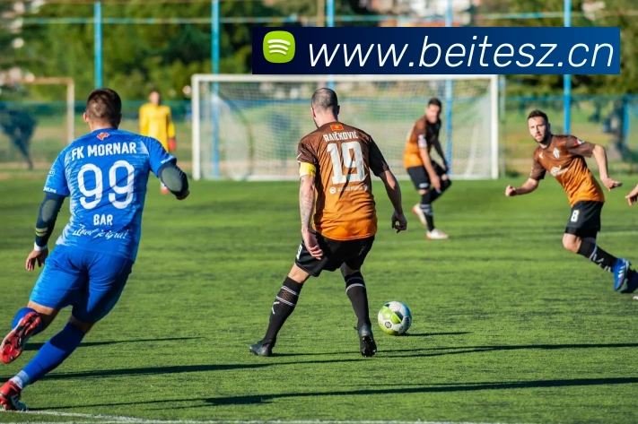 多媒体互动体验